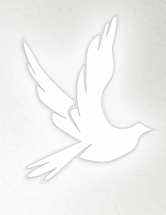 Alfredo Pacheco Obituary